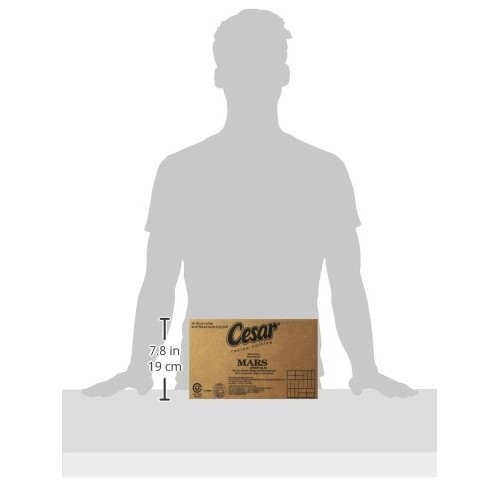 Cesar Soft Wet Dog Food Filets In Gravy Filet Mignon &Amp; New York