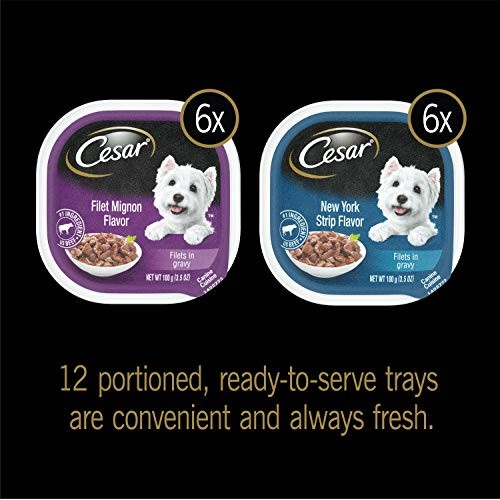 Cesar Soft Wet Dog Food Filets In Gravy Filet Mignon &Amp; New York