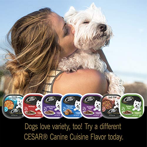 Cesar Soft Wet Dog Food Filets In Gravy Filet Mignon &Amp; New York