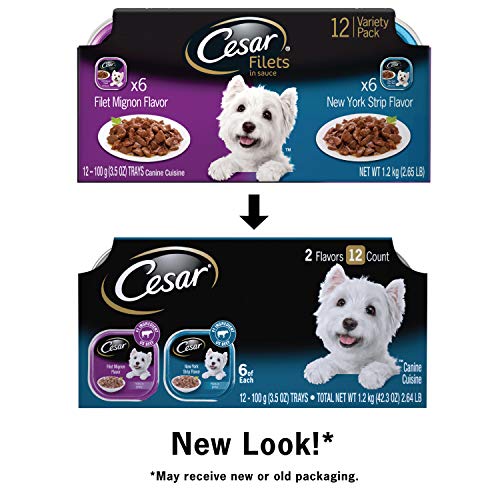 Cesar Soft Wet Dog Food Filets In Gravy Filet Mignon &Amp; New York