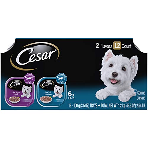 Cesar Soft Wet Dog Food Filets In Gravy Filet Mignon &Amp; New York