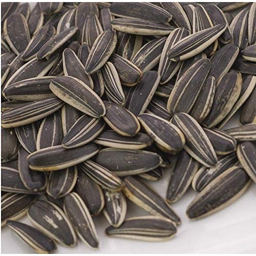 Cha Cha Sunflower Seeds Roasted 250G 100% Natural Flavor 10 B