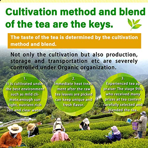 Green Tea Leaves Sencha, Jas Certified Organic,Japanese Uji-Kyot