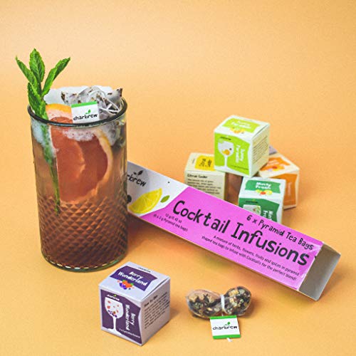 Premium Cocktail Infusions Botanicals Tea Pyramids 6 Unique Cock