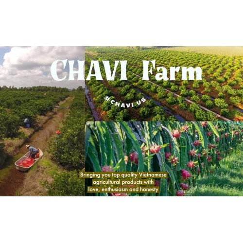 CHAVI Pink Drink - Passion Dragon Fruit Powdered Drink Mix and F...