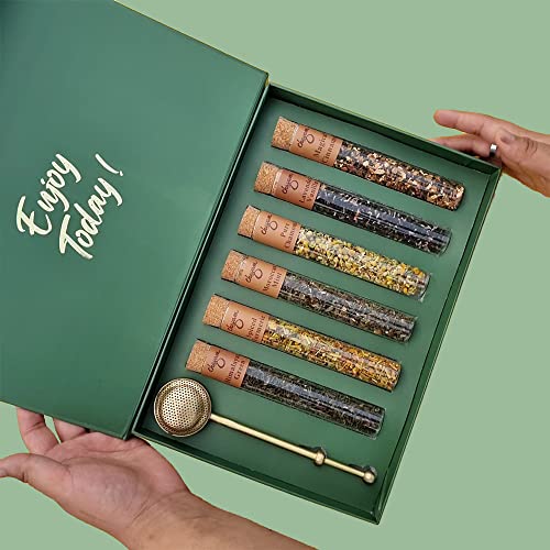 Chayam Assorted Loose Teas Gift Set With Tea Infuser | 6 Tea Fla