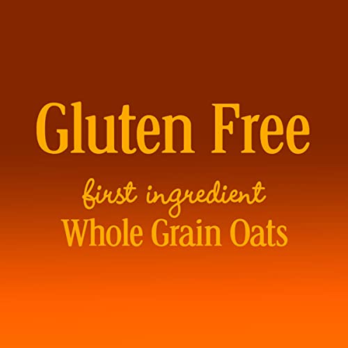 Honey Nut Cheerios, Cereal With Oats, Gluten Free, 15.4 Oz