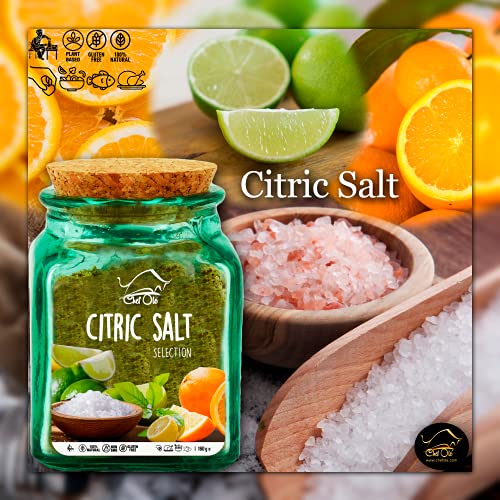 Gift Basket-Imported From Spain- Gourmet Food-5 Premium Artisan