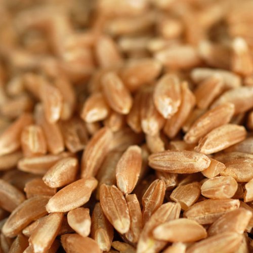 Farro Emmer Organic Wholegrain -Washington
