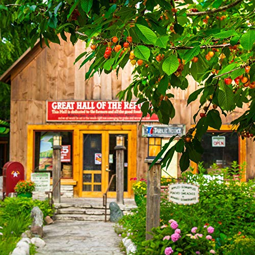 Cherry Republic Cherry Sour Balls - Resealable Pack Sweet & Sour...