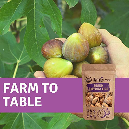 Berrilys Organic Dried Figs, Smyrna, Non-Gmo, No Additives, No P