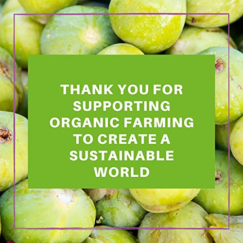 Berrilys Organic Dried Figs, Smyrna, Non-Gmo, No Additives, No P