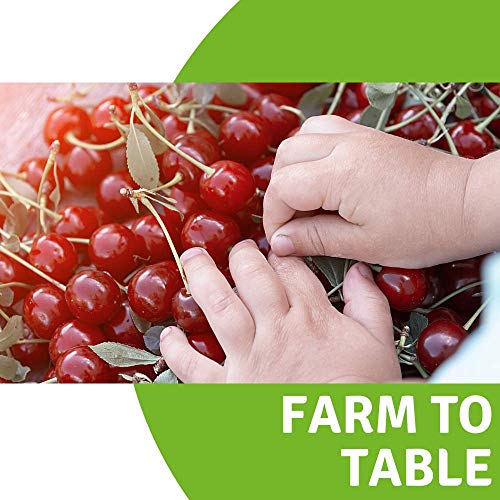 Berrilys Organic Dried Tart Cherries, 1 Lb, Pitted, Non-Gmo, Kos