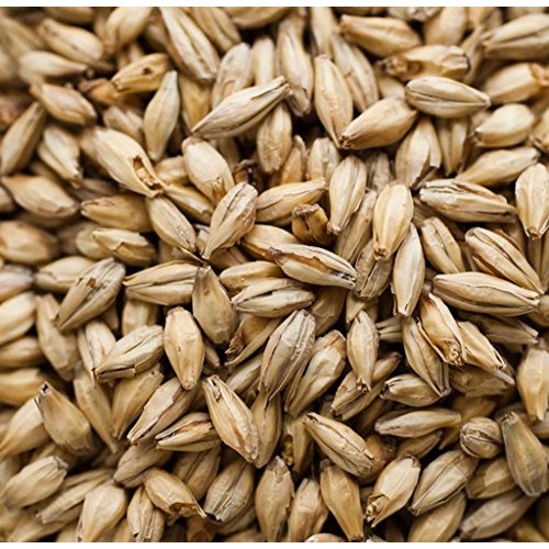 Briess 2-Row Caramel 40L Malt - 1 Lb, Uncrushed