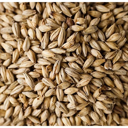 Briess 2-Row Brewers Malt - 10 Lb, Crushed