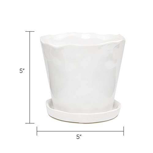 Chive - Tika, Succulent And Cactus Pot And Saucer Ceramic Flower