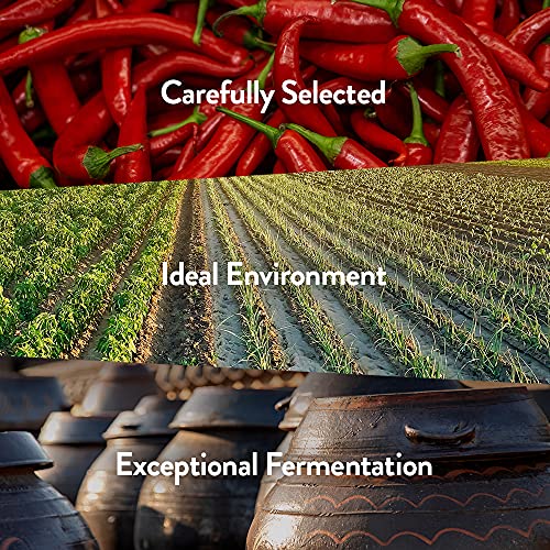 Chung Jung One Sunchang Hot Pepper Paste Gold Gochujang 500G