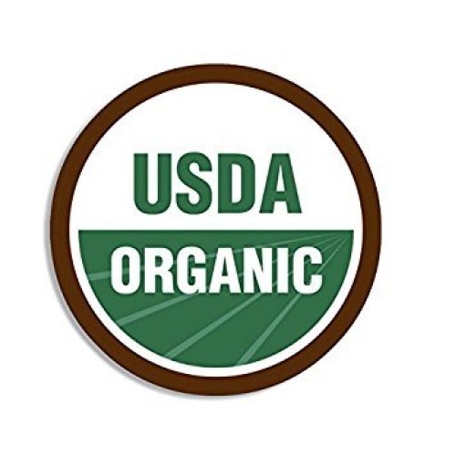 City Girl Coffee Organic Fair Trade Honduras Single Origin Whole