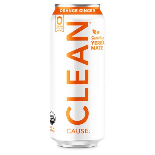 Orange Ginger Organic Sparkling Yerba Mate Tea - Zero Calorie, Z