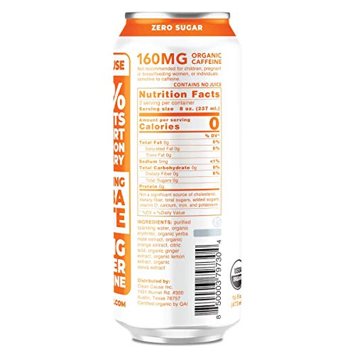 Orange Ginger Organic Sparkling Yerba Mate Tea - Zero Calorie, Z