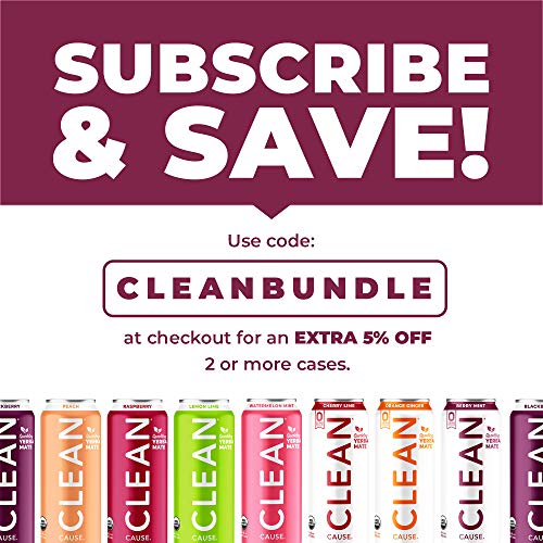 Zero Calorie Variety Pack Organic Sparkling Yerba Mate Tea - Zer