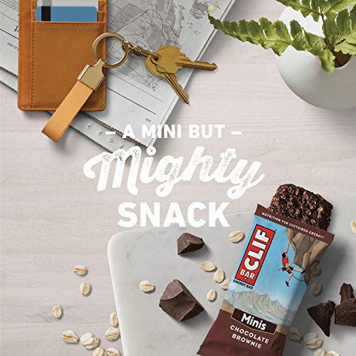 Clif Bars - Chocolate Brownie - 10 Full Size And 10 Mini Energy
