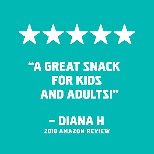 Clif Kid Zbar - Protein Granola Bars - Chocolate Mint Flavor -