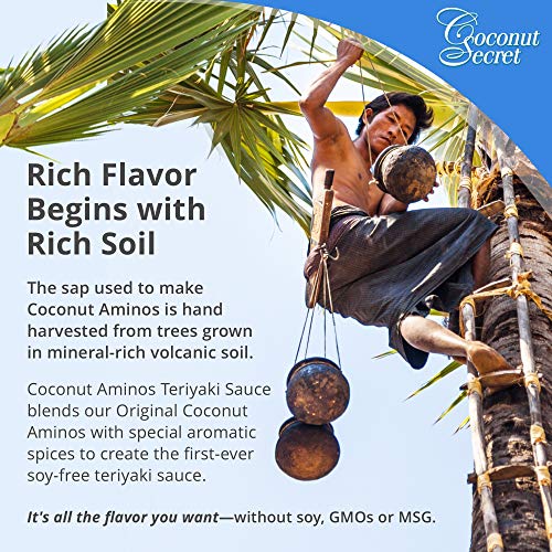 Coconut Secret Coconut Aminos Teriyaki Sauce 2 Pack - 10 Fl Oz
