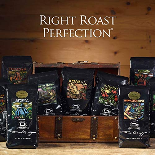 Sampler Coffee Variety Pack | 100% Specialty Arabica Coffee | 6