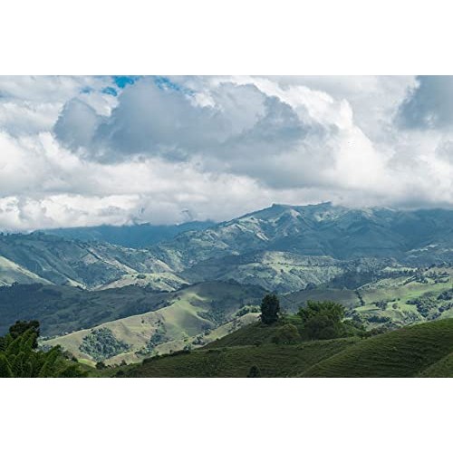 Coffee Manufactory 02 Filter Blend Coffee, 12 Oz