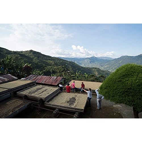 Coffee Manufactory 02 Filter Blend Coffee, 12 Oz