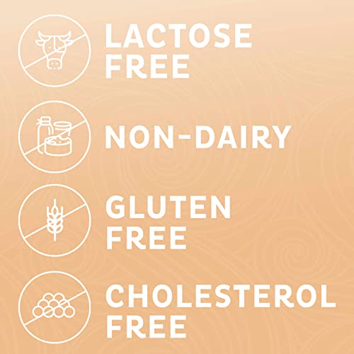 Coffee Mate Powdered Creamer - Variety 4 Pack