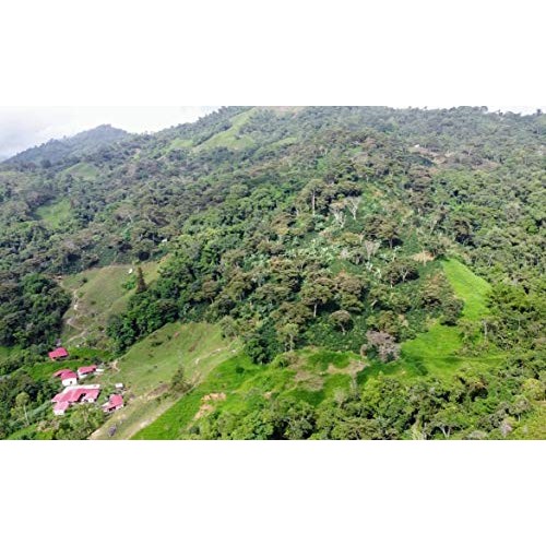 Coficafe | La Sierra 2 Lb Single Origin Specialty Unroasted Gree