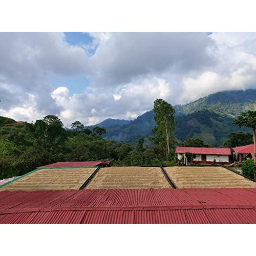 Coficafe | La Sierra 2 Lb Single Origin Specialty Unroasted Gree