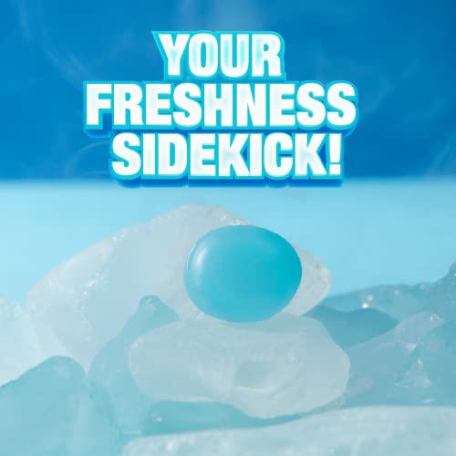 Colombina Breath Mints Delicate Drops - Over 660 Individually Wr...