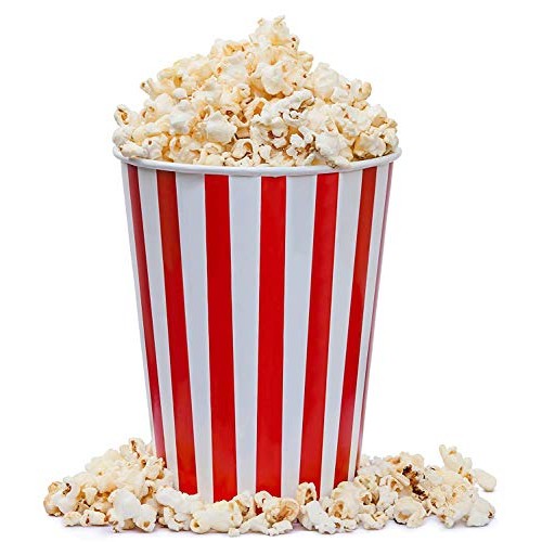 Concession Essentials 4Oz Movie Theater Popcorn Seasoning Salt