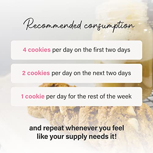 COOKIES, THEN MILK Quick Boost Lactation Cookies Mix with Oats, ...