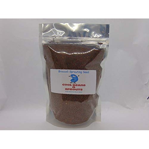 Broccoli Seeds For Sprouting Microgreens, 8 Oz Bag,A Superfood P