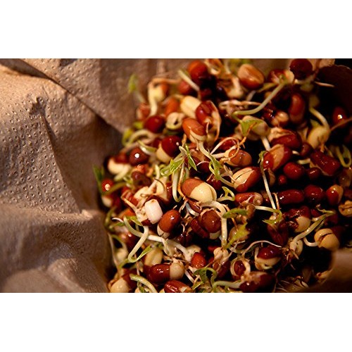 COOL BEANS n SPROUTS Brand, Love Your Heart Mix Seeds for Spro...