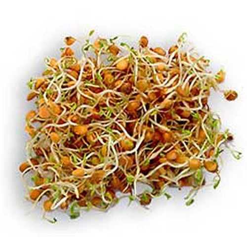 COOL BEANS n SPROUTS Brand, Love Your Heart Mix Seeds for Spro...