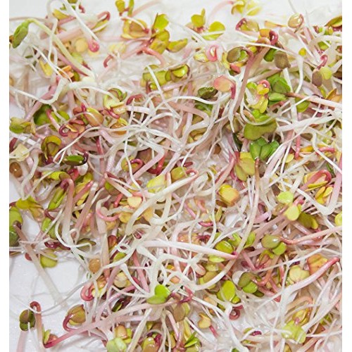 COOL BEANS n SPROUTS Brand, Love Your Heart Mix Seeds for Spro...