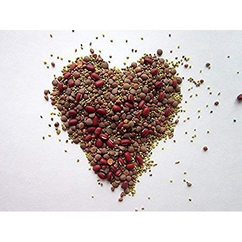 COOL BEANS n SPROUTS Brand, Love Your Heart Mix Seeds for Spro...