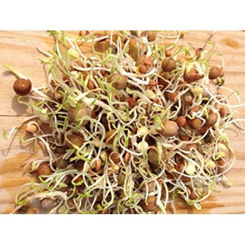 Cool Beans N Sprouts Brand, The Salad Bar Mix Seeds For Sprout
