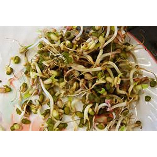 Cool Beans N Sprouts Brand, The Salad Bar Mix Seeds For Sprout