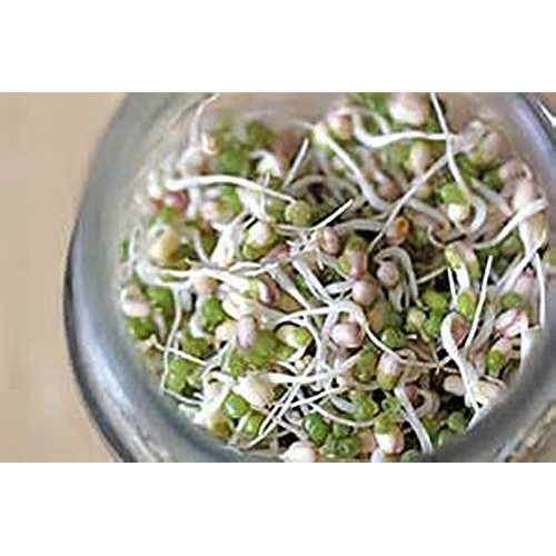 Cool Beans N Sprouts Brand, The Salad Bar Mix Seeds For Sprout