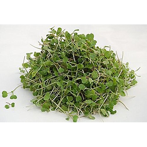 Cool Beans N Sprouts Brand, The Salad Bar Mix Seeds For Sprout