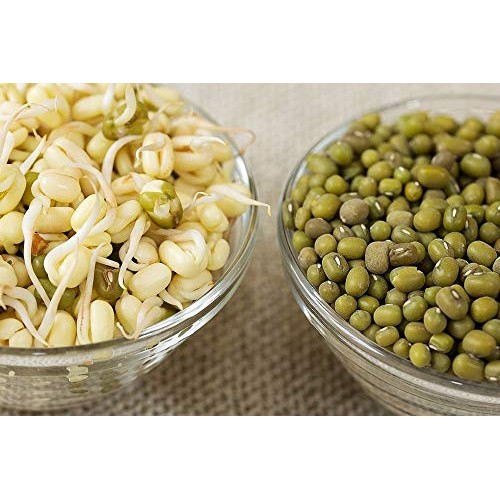 Cool Beans N Sprouts Brand, Mung Bean Seeds For Sprouting Micr