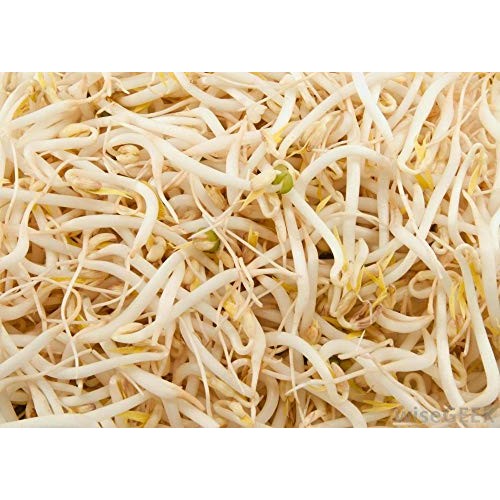 Cool Beans N Sprouts Brand, Mung Bean Seeds For Sprouting Micr