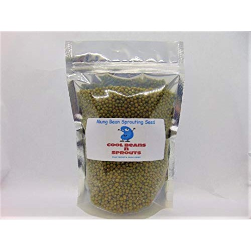 Mung Bean Seeds For Sprouting Microgreens ,6 Ounces, Cool Beans