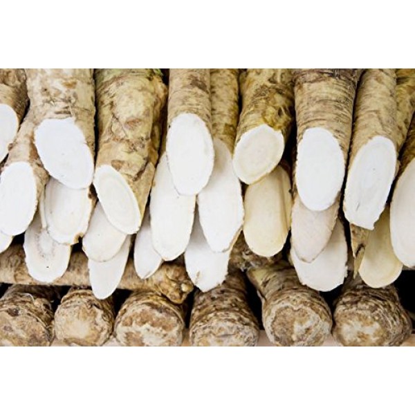 Horseradish Root, Sauget, 6 ounces Sold by Weight. Great for P...